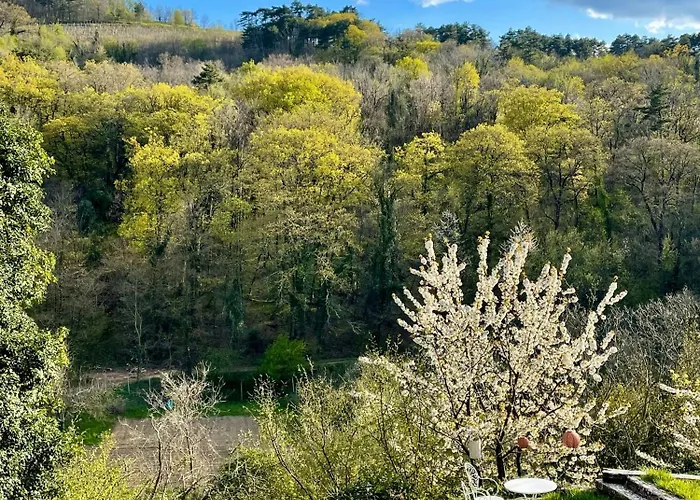 Kotic Na Hribu Dobravlje
